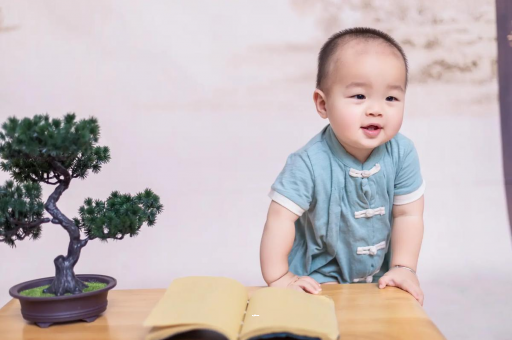 诸暨可爱的企鹅宝宝